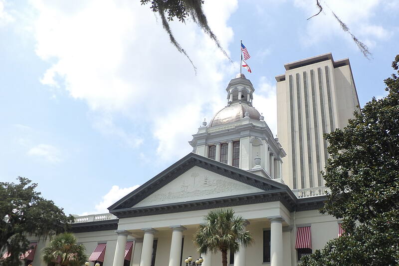 capitol building view from the ground